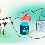 Livestock Traceability and its Blockchain Transformation