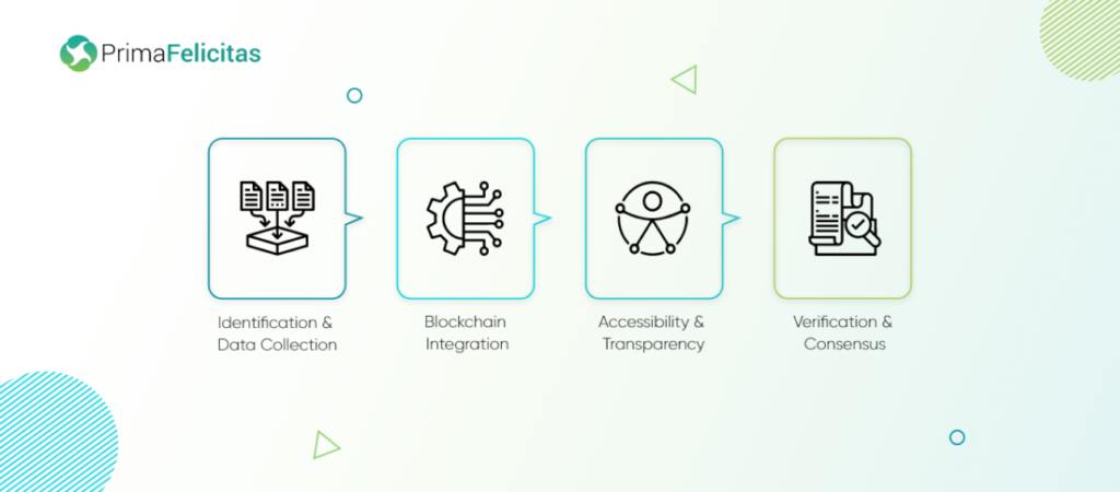 Steps-to-implement-blockchain-in-livestock-traceability